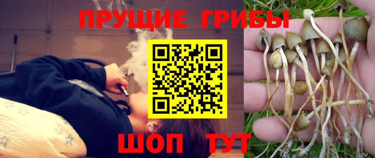 даркнет сайт  Галлюциногенные грибы Magic Shrooms  Вход с VPN  Первоуральск 